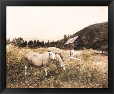 Framed Sheep in the Meadow Print