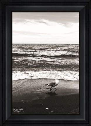 Framed Seagull I Print