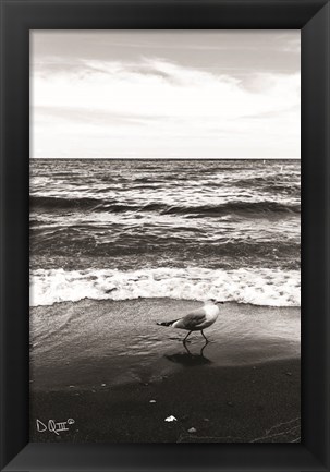 Framed Seagull I Print