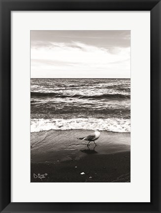 Framed Seagull I Print