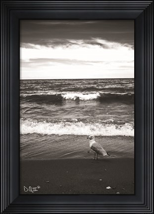 Framed Seagull II Print