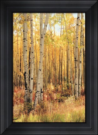 Framed Solid Gold II - Dark version Print