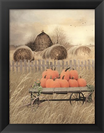 Framed Pumpkin Harvest Print