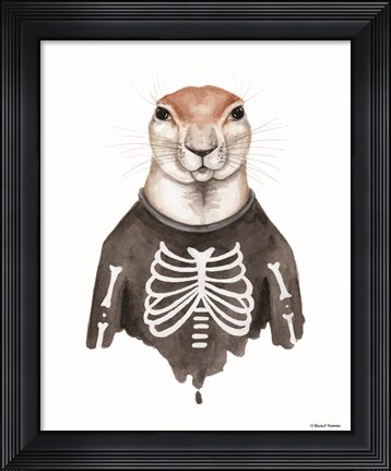 Framed Xerus in an Xray Shirt Print