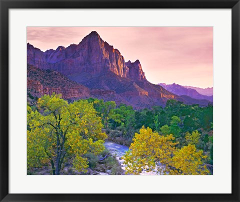 Framed Utah, Zion National Park The Watchman Formation And The Virgin River In Autumn Print