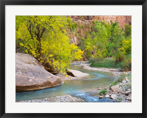 Framed Utah Zion National Park, Virgin River Print