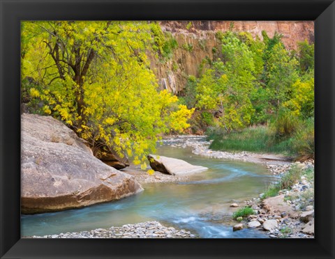 Framed Utah Zion National Park, Virgin River Print