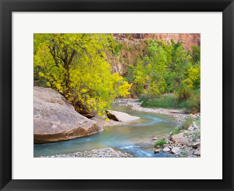 Framed Utah Zion National Park, Virgin River Print