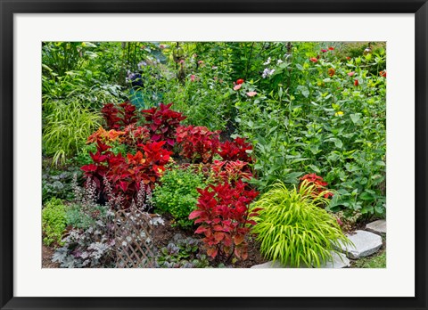 Framed Summer Flowers And Coleus Plants In Bronze And Reds, Sammamish, Washington State Print