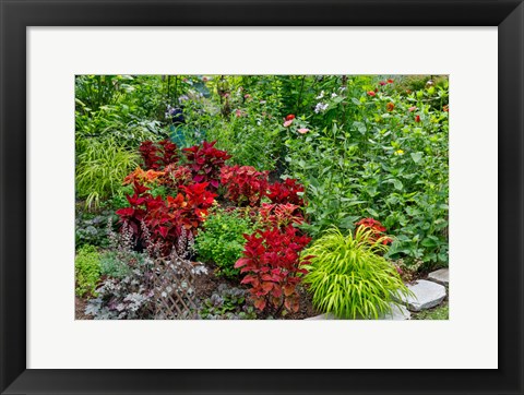 Framed Summer Flowers And Coleus Plants In Bronze And Reds, Sammamish, Washington State Print