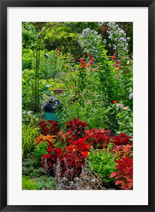 Framed Garden Summer Flowers And Coleus Plants In Bronze And Reds, Sammamish, Washington State Print