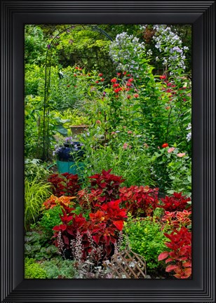 Framed Garden Summer Flowers And Coleus Plants In Bronze And Reds, Sammamish, Washington State Print