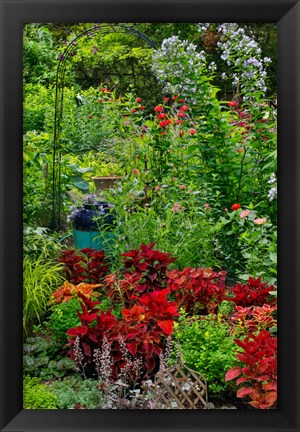 Framed Garden Summer Flowers And Coleus Plants In Bronze And Reds, Sammamish, Washington State Print