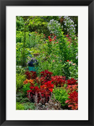 Framed Garden Summer Flowers And Coleus Plants In Bronze And Reds, Sammamish, Washington State Print