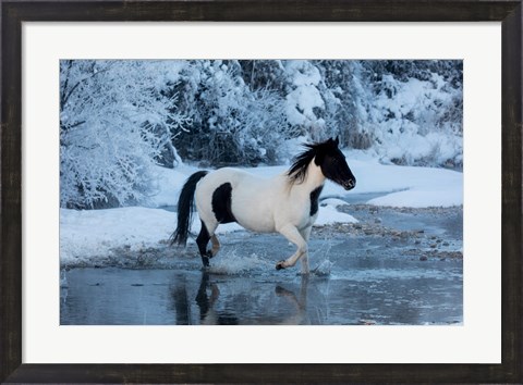 Framed Horse Crossing Shell Creek In Winter Print
