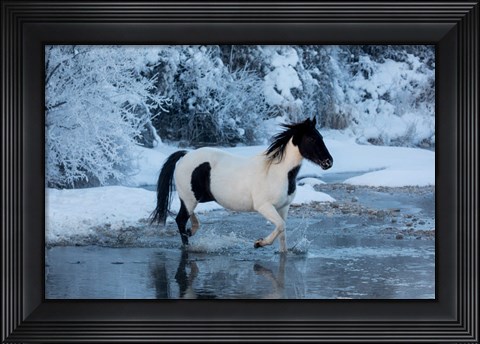 Framed Horse Crossing Shell Creek In Winter Print