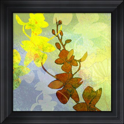 Framed Ochid Shadows 2 Print