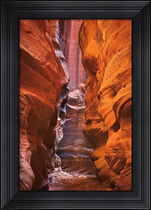 Framed Buckskin Gulch IV Print