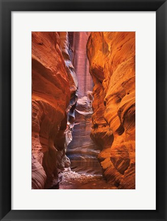 Framed Buckskin Gulch IV Print