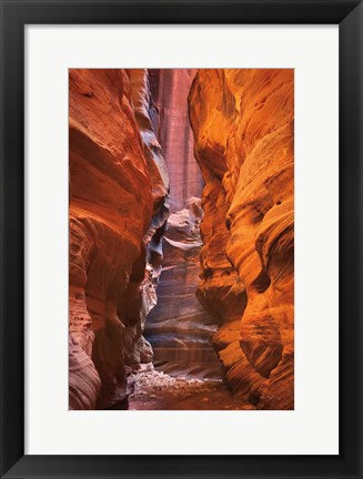 Framed Buckskin Gulch IV Print