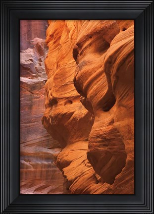 Framed Buckskin Gulch III Print