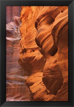 Framed Buckskin Gulch III Print