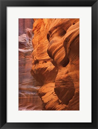 Framed Buckskin Gulch III Print