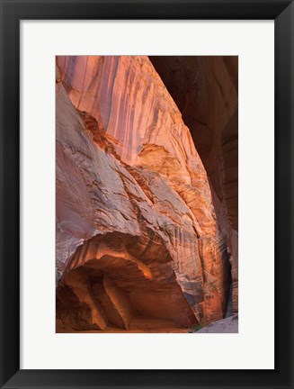 Framed Buckskin Gulch II Print