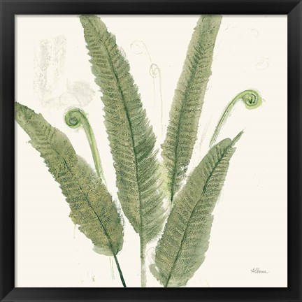 Framed Forest Ferns II Dark Print