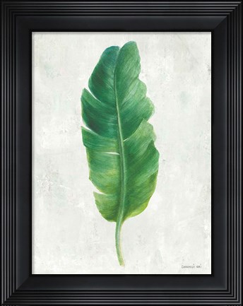 Framed Palms of the Tropics V Print