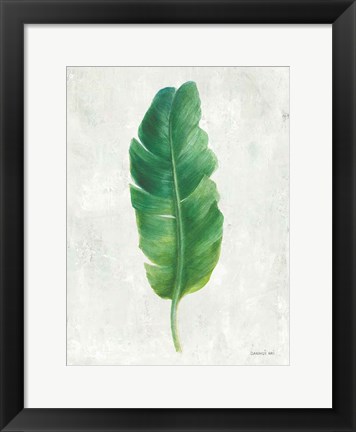 Framed Palms of the Tropics V Print
