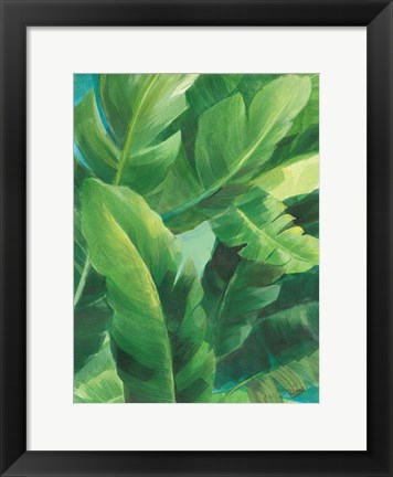 Framed Palms of the Tropics II Print