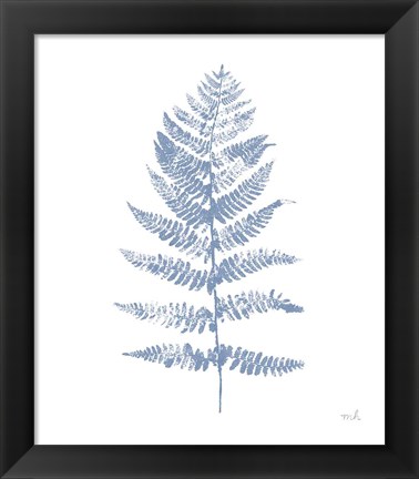 Framed Fern Print II Blue No Shiplap Print