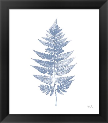 Framed Fern Print I Blue No Shiplap Print