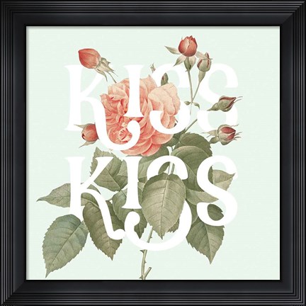 Framed Botanical Pink Rose I Kiss Print