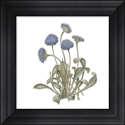 Framed Monument Etching Tile Flowers IX Print