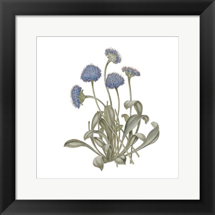 Framed Monument Etching Tile Flowers IX Print