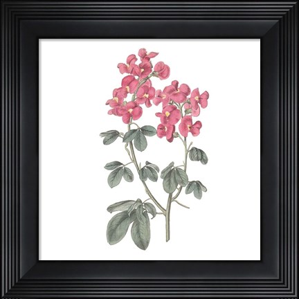 Framed Monument Etching Tile Flowers IV Print