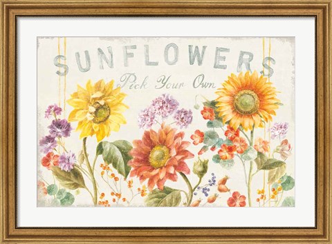 Framed Floursack Autumn IX Sunflowers Print