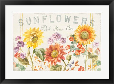 Framed Floursack Autumn IX Sunflowers Print