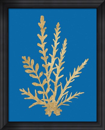 Framed Pacific Sea Mosses III Blue Print