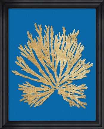 Framed Pacific Sea Mosses II Blue Print