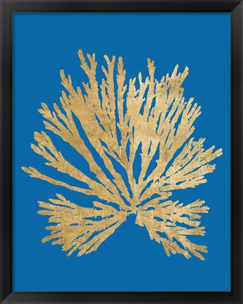 Framed Pacific Sea Mosses II Blue Print