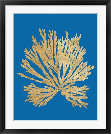 Framed Pacific Sea Mosses II Blue Print