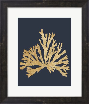 Framed Pacific Sea Mosses IV Indigo Print