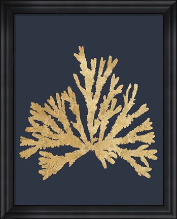 Framed Pacific Sea Mosses IV Indigo Print