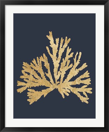 Framed Pacific Sea Mosses IV Indigo Print