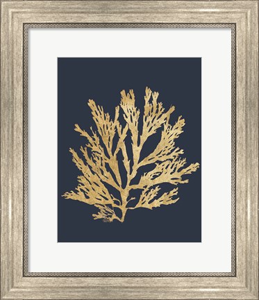 Framed Pacific Sea Mosses I Indigo Print