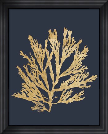 Framed Pacific Sea Mosses I Indigo Print