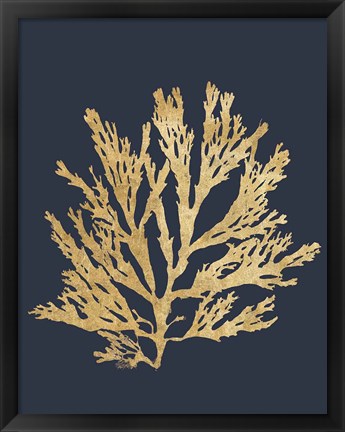 Framed Pacific Sea Mosses I Indigo Print